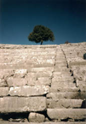 Dodona